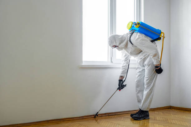 Best Termite Control Services  in Bloomfield, IN
