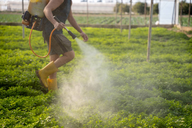Best Ant Control Services  in Bloomfield, IN