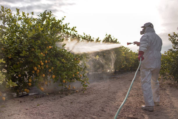 Best Emergency Pest Control  in Bloomfield, IN