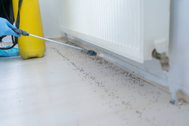 Best Affordable Pest Control Services  in Bloomfield, IN