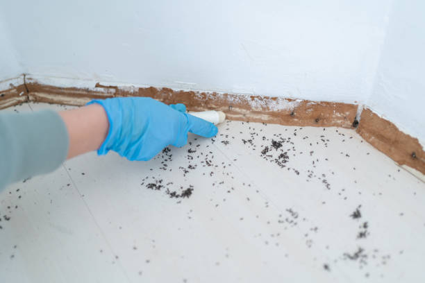 Best Cockroach Control Services  in Bloomfield, IN