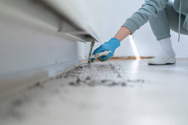 Best Termite Control Services  in Bloomfield, IN